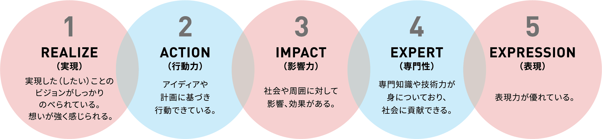 1 REALIZE（実現）実現した（したい）ことのビジョンがしっかりのべられている。想いが強く感じられる。 2 ACTION（行動力） アイディアや計画に基づき行動できている。3 IMPACT（影響力） 社会や周囲に対して影響、効果がある。 4 EXPERT（専門性）専門知識や技術力が身についており、社会に貢献できる。 5 EXPRESSION（表現）表現力が優れている。