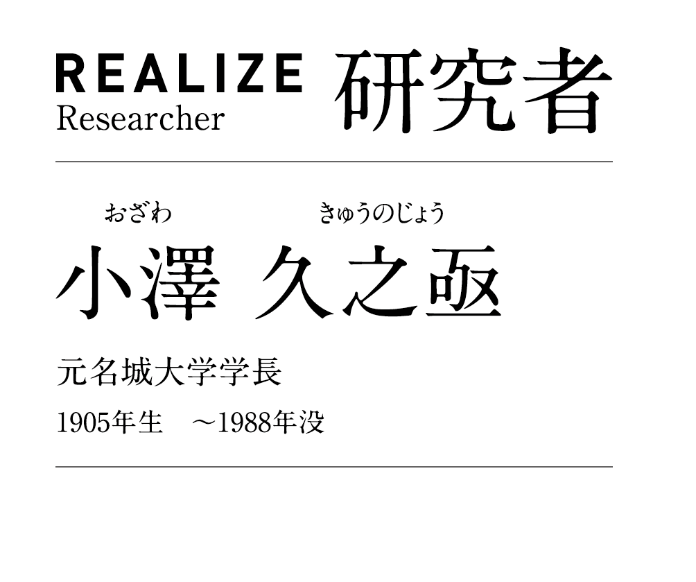 REALIZE Researcher