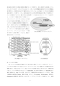H25博士学位論文_全ページ
