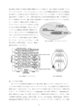 Ｈ２５博士学位論文_００７芦澤怜史