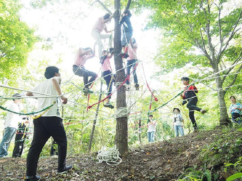 小学校高学年は、一気に頂点を目指して登っていく。