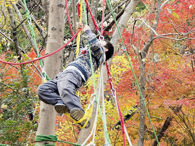 頂点を目指して登っていく少年。