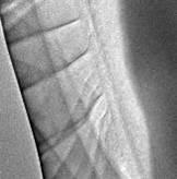 写真4：GaN/GaNトンネル接合素子の観察結果