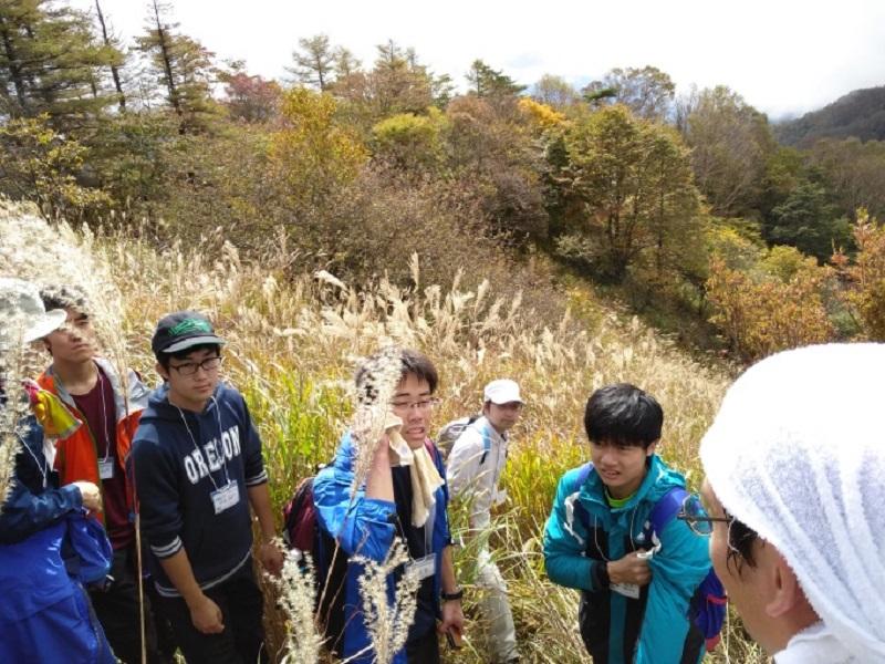 藪を漕ぎながら調査地点を目指す。