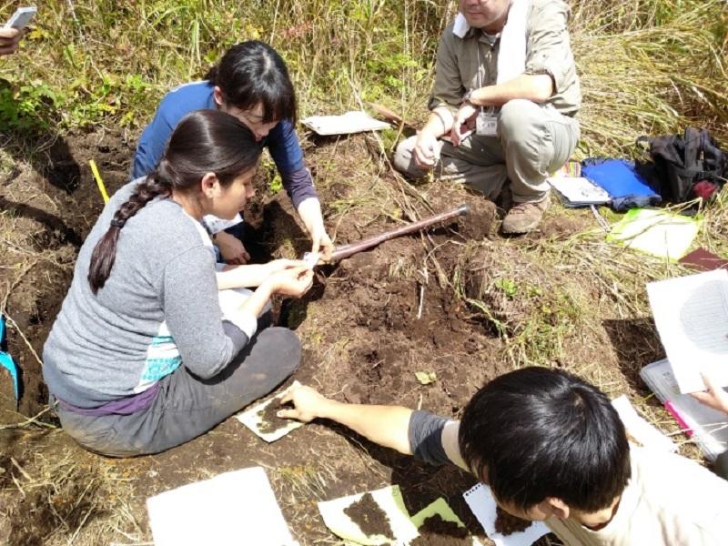 土壌断面調査に取り組む参加者たち。