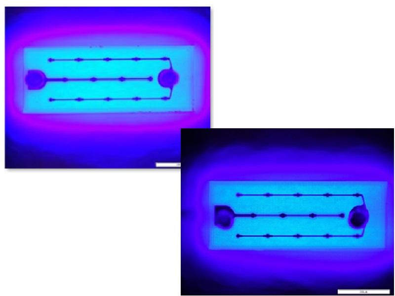 実際に、ステムにチップを置き、ワイヤを張って作製(PKG化)したLEDを光らせたものを微分干渉顕微鏡で観察した写真。