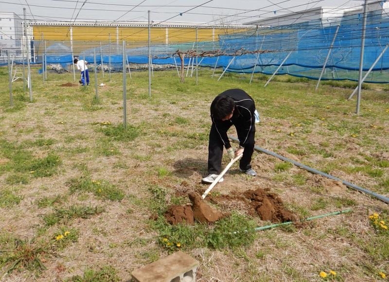 基礎の設置