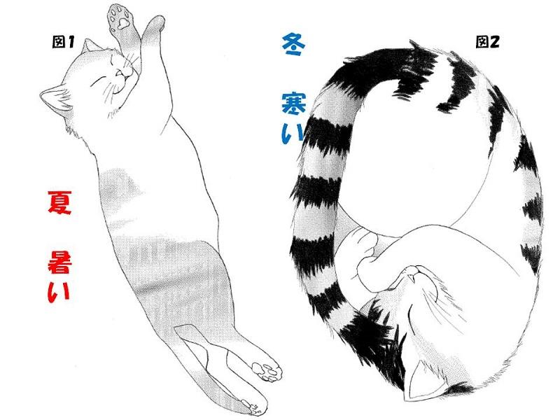 猫ちゃんの図