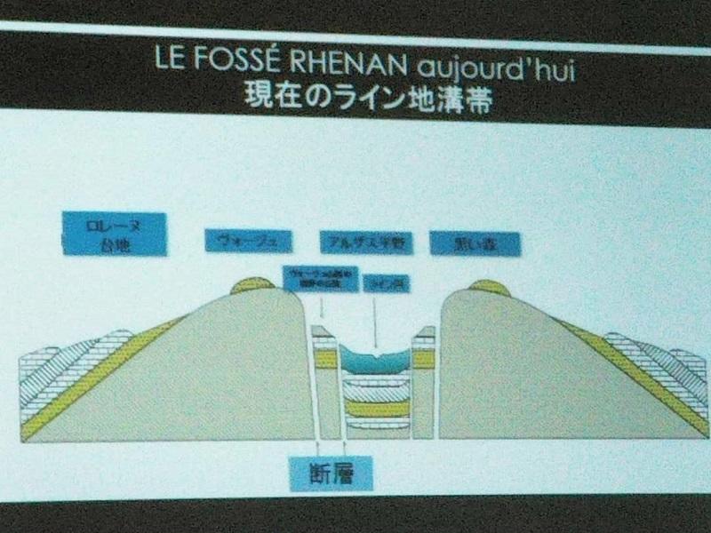 地形や地質の話がワインの多様性や価値につながるとの話も