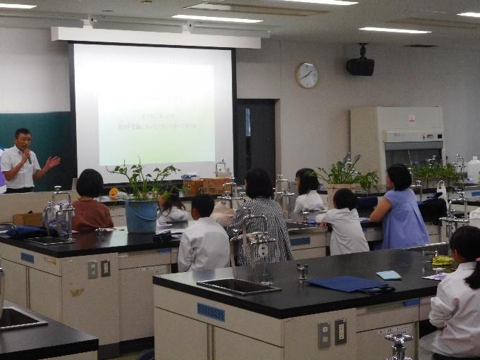 花の構造を調べて他花受粉の仕組みを学びました。