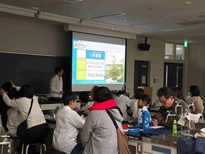 針葉樹と広葉樹のかたちの違いとは．．．