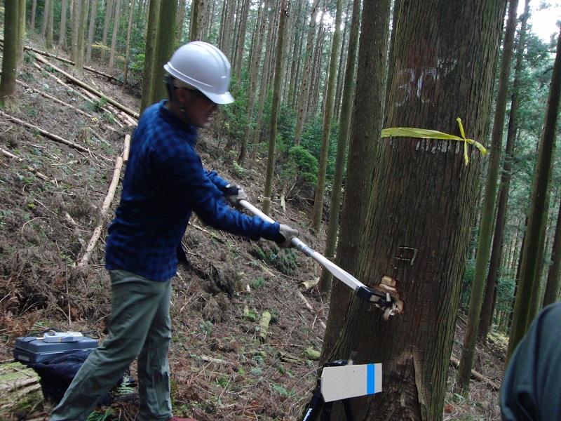 愛知県新城市にある愛知県森林・林業技術センターの方にご協力いただき，実際の森林で立木に対して本物の斧を振り，実際の木こり体験をメンバー全員で行っている様子．