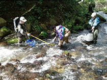 河川における魚類の生態調査