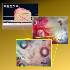 ナノ構造組織化 研究室イメージ
