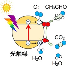 環境材料化学 研究室イメージ