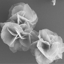 構造無機化学 研究室イメージ