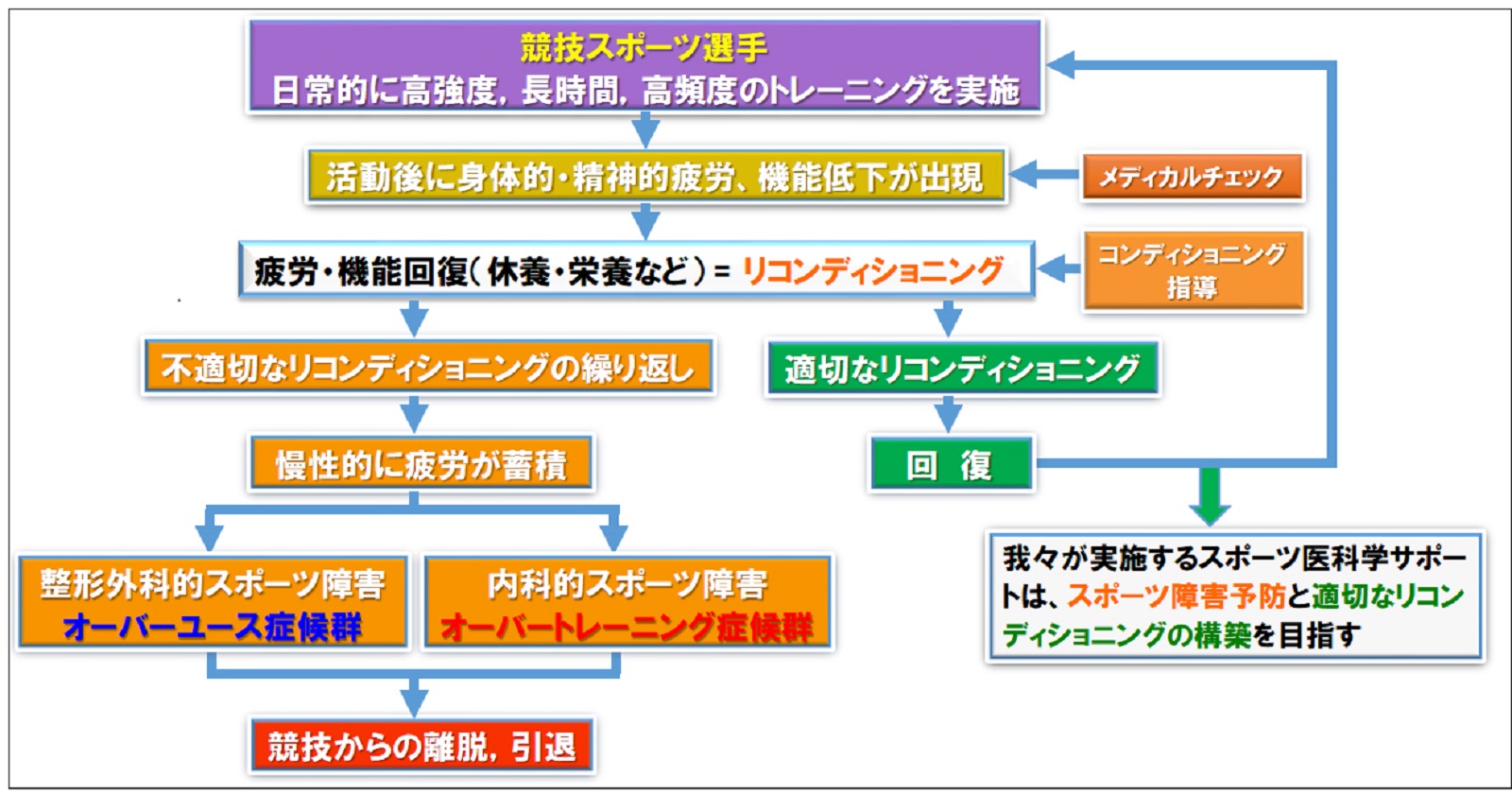 我々が目指すスポーツ障害の予防とスポーツ医科学サポート