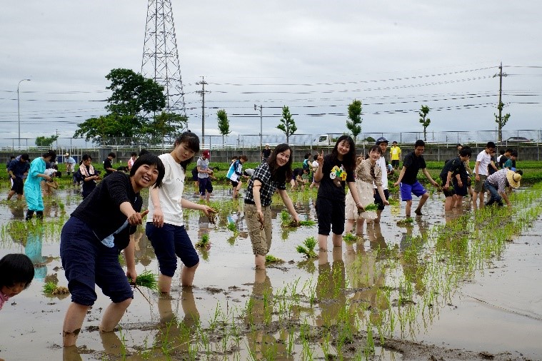 2019年6月15日キャリア教育講座の合宿で名城大学附属農場にて開催された田植えに参加する本学留学生