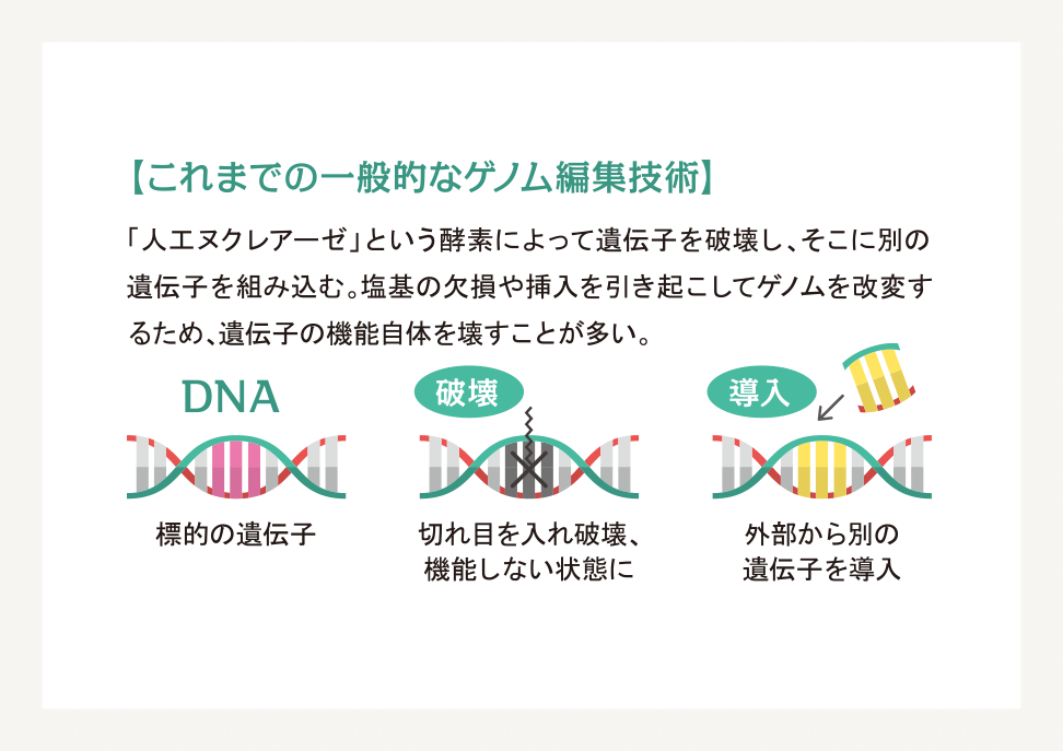 これまでの一般的なゲノム編集技術の解説図