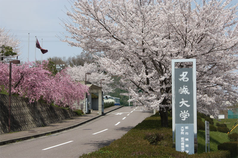 可児キャンパス正門から続く桜並木が新入生を迎えるのも今年と来年だけになります（2010年撮影）