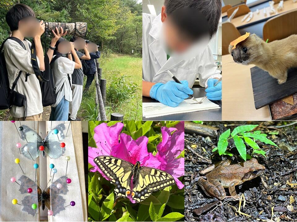 [農学部学生会]野生動物生態研究会