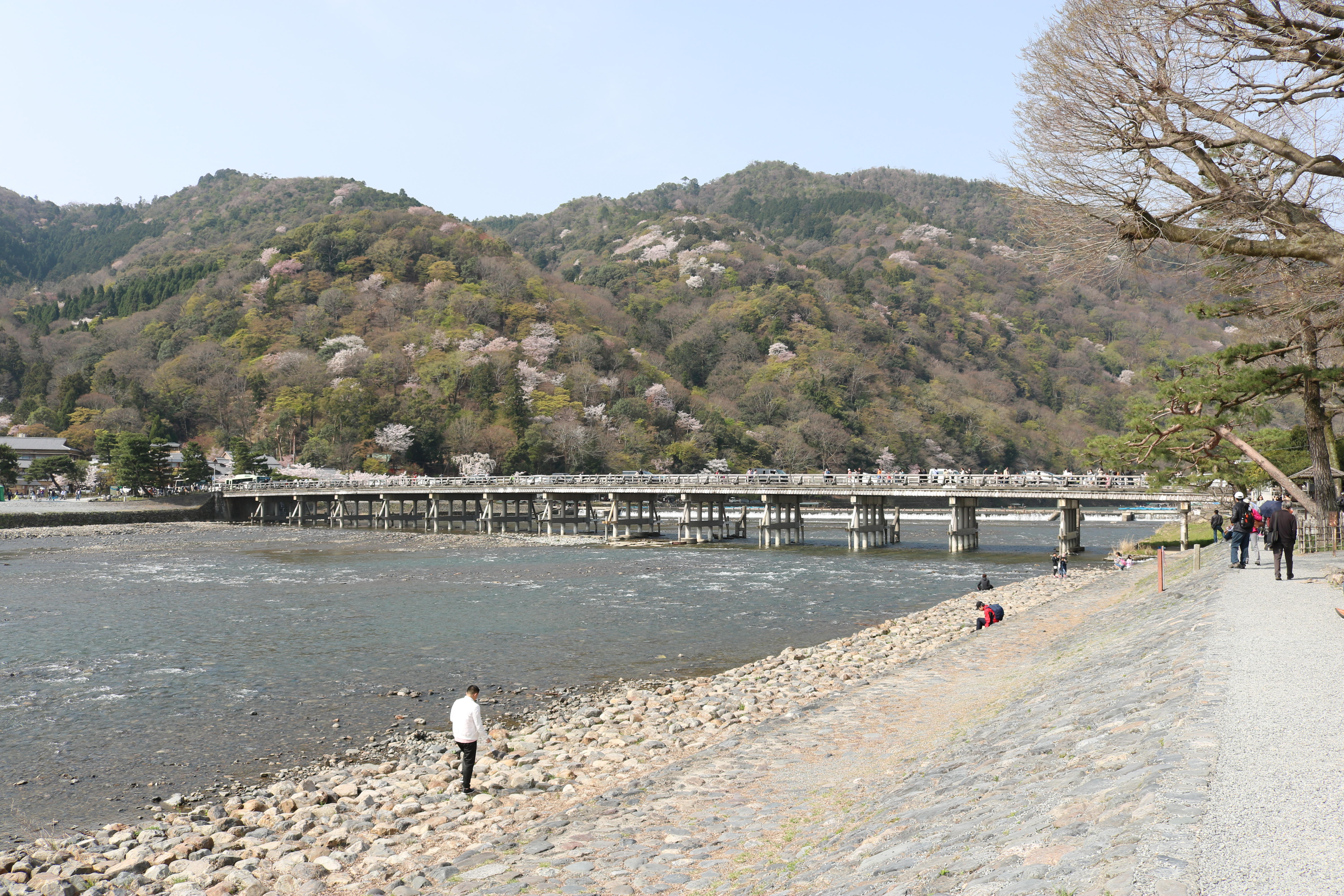 [薬学部学生会/文化局]写真部