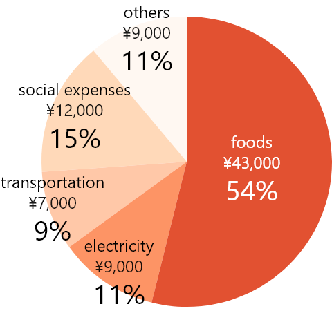 Average monthly expenses chart
