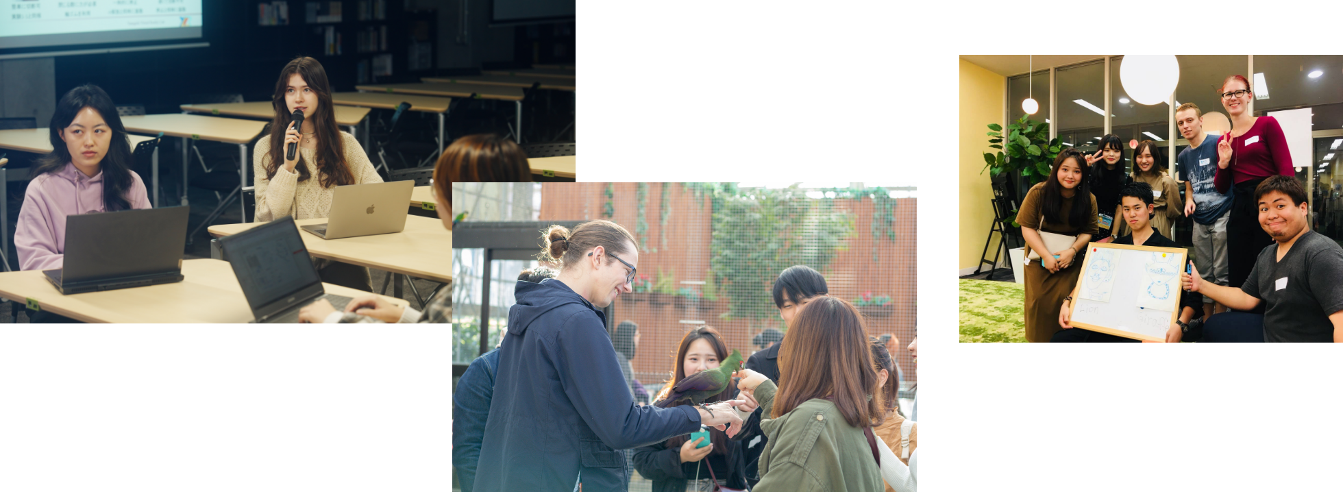 Tips from former exchange students