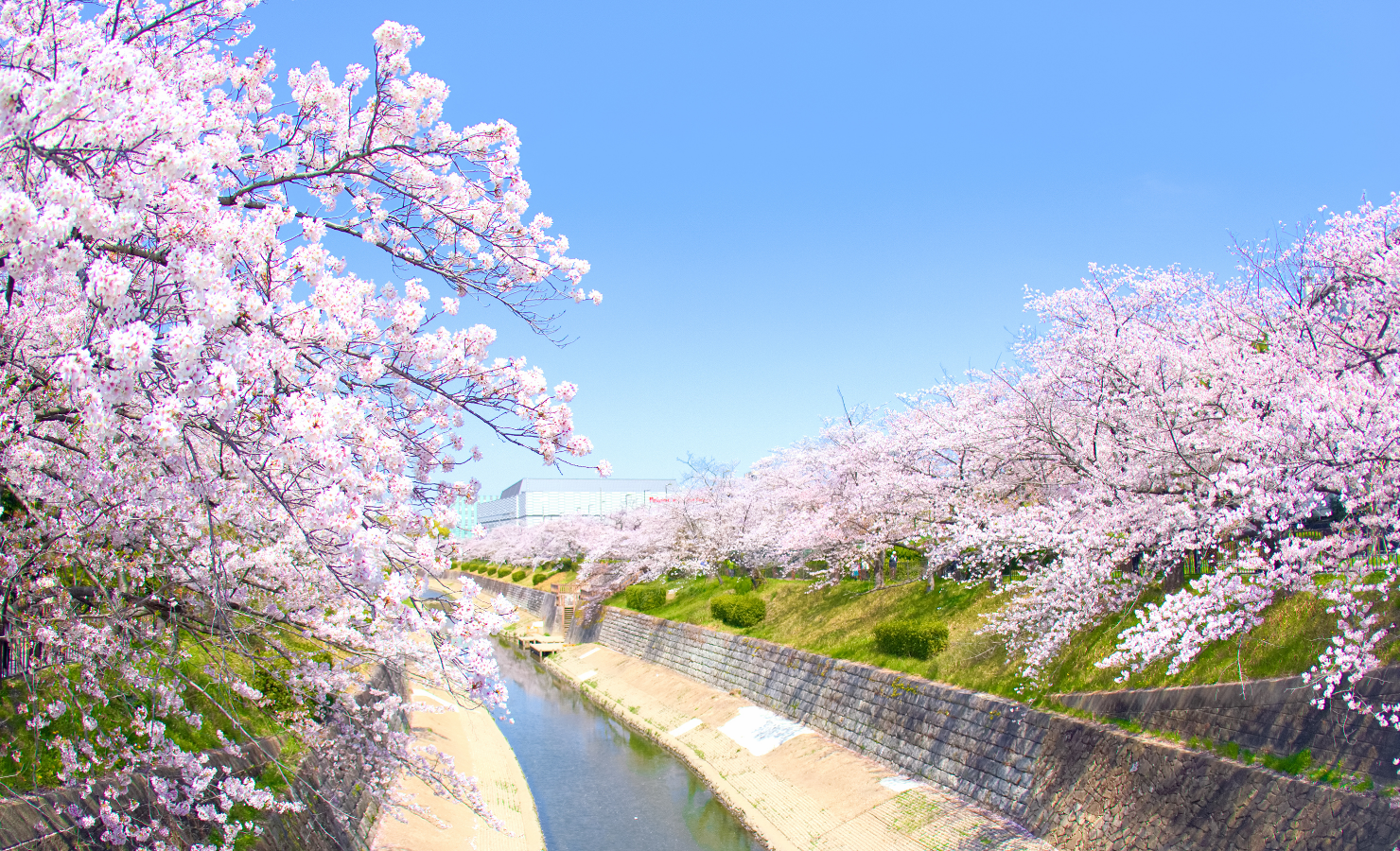 Spring
