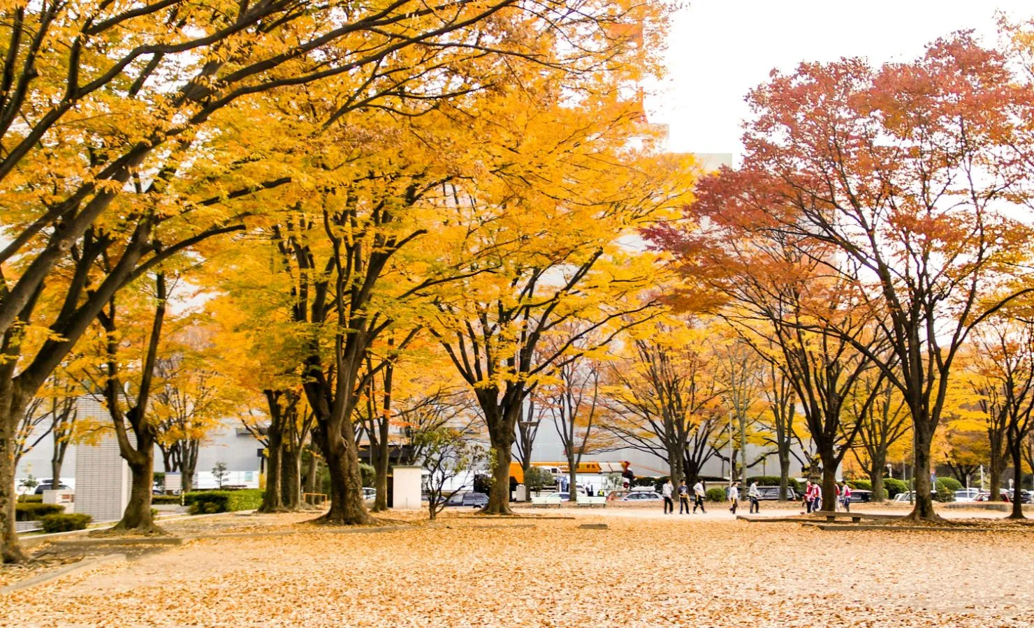 Autumn
