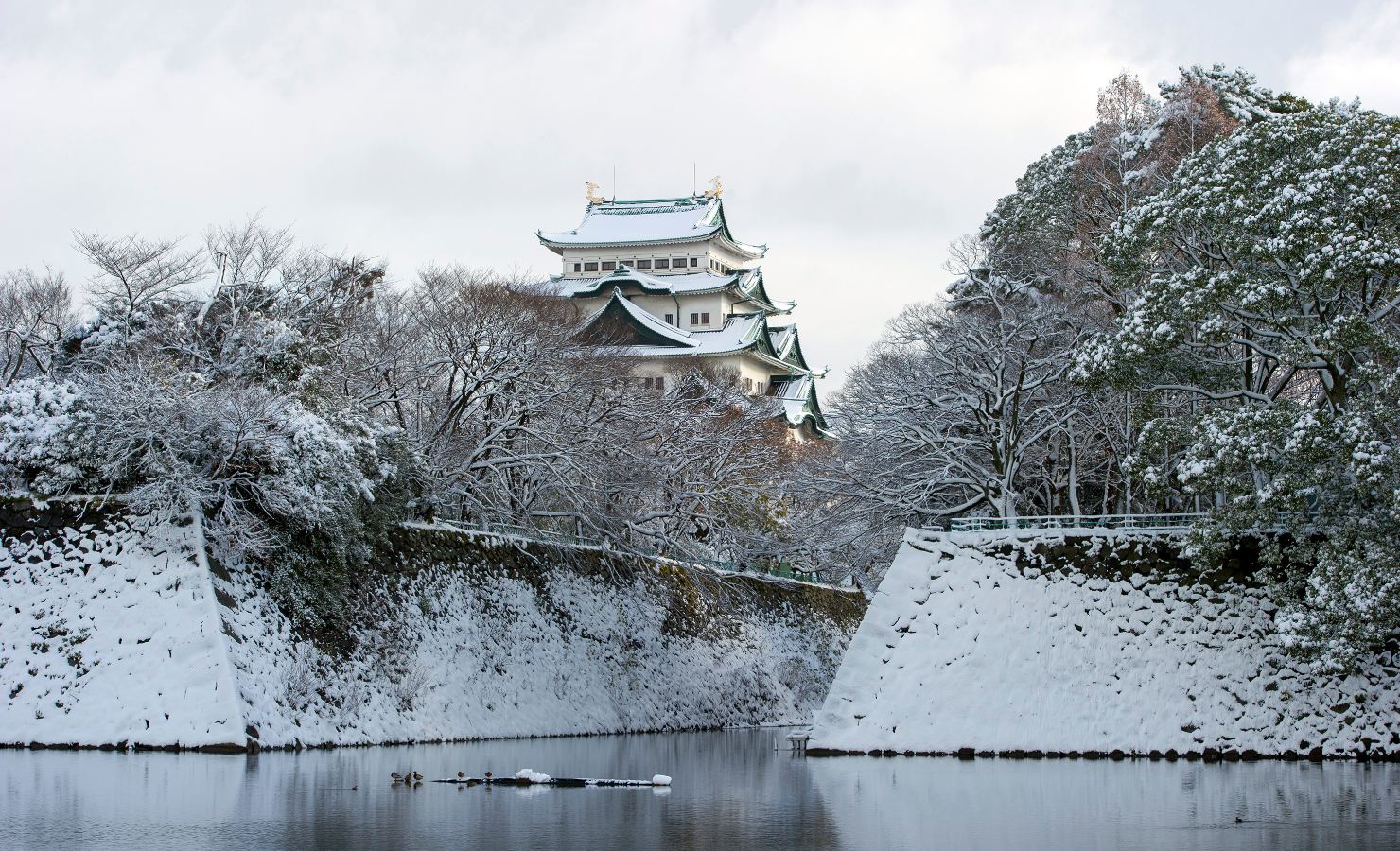 Winter