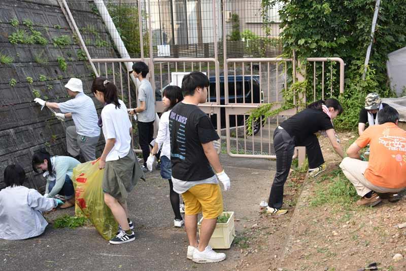 温室脇を美化する教員と学生