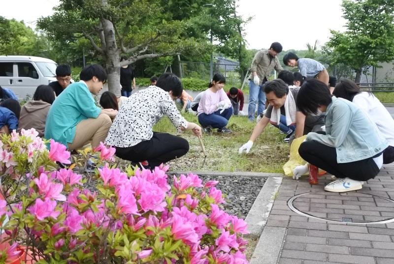 草を刈る学生と教員