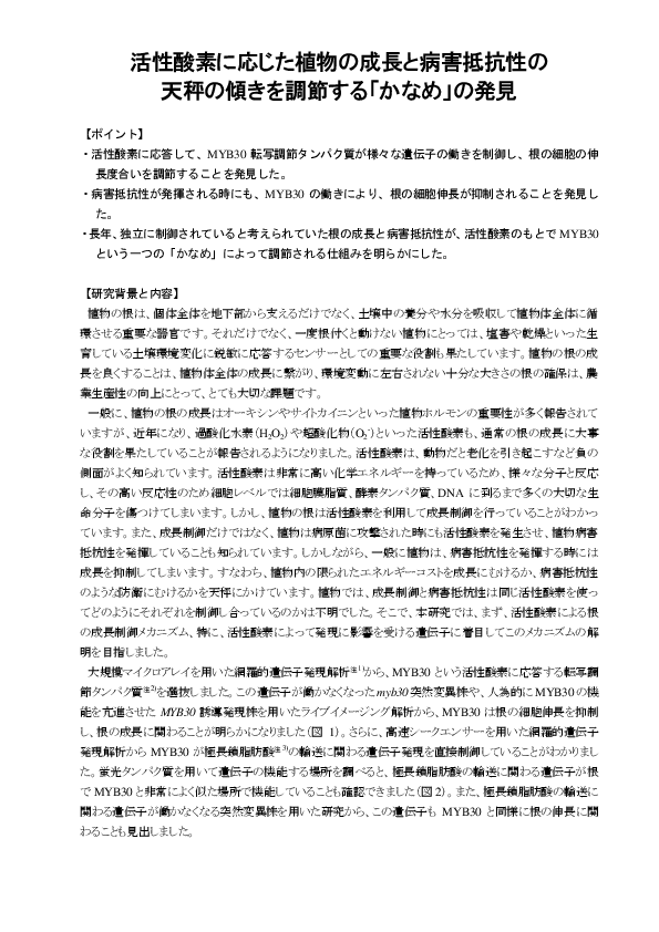 論文概要PDF（クリックすれば詳細をご覧いただけます）