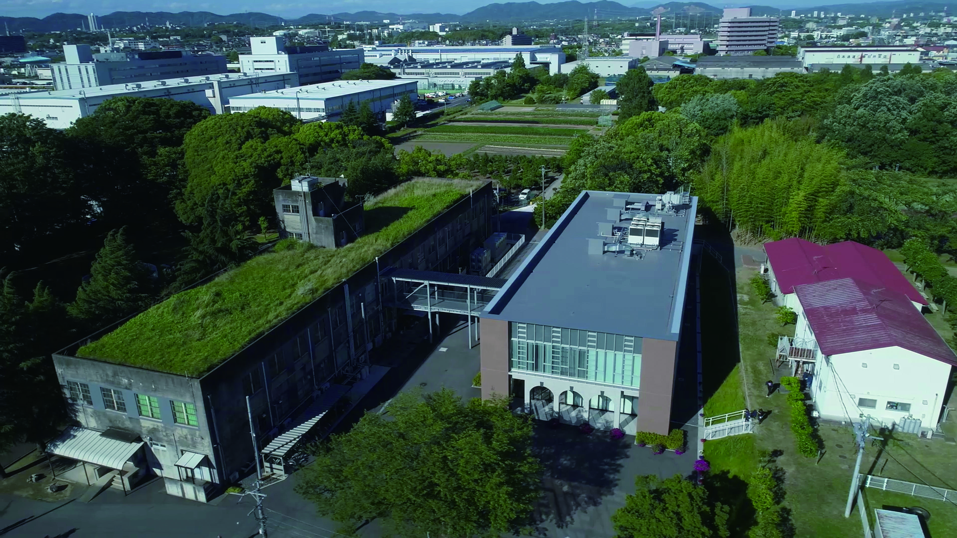 6月8日 中京テレビ キャッチ で農学部附属農場のスズメバチトラップが紹介されます ニュース 名城大学