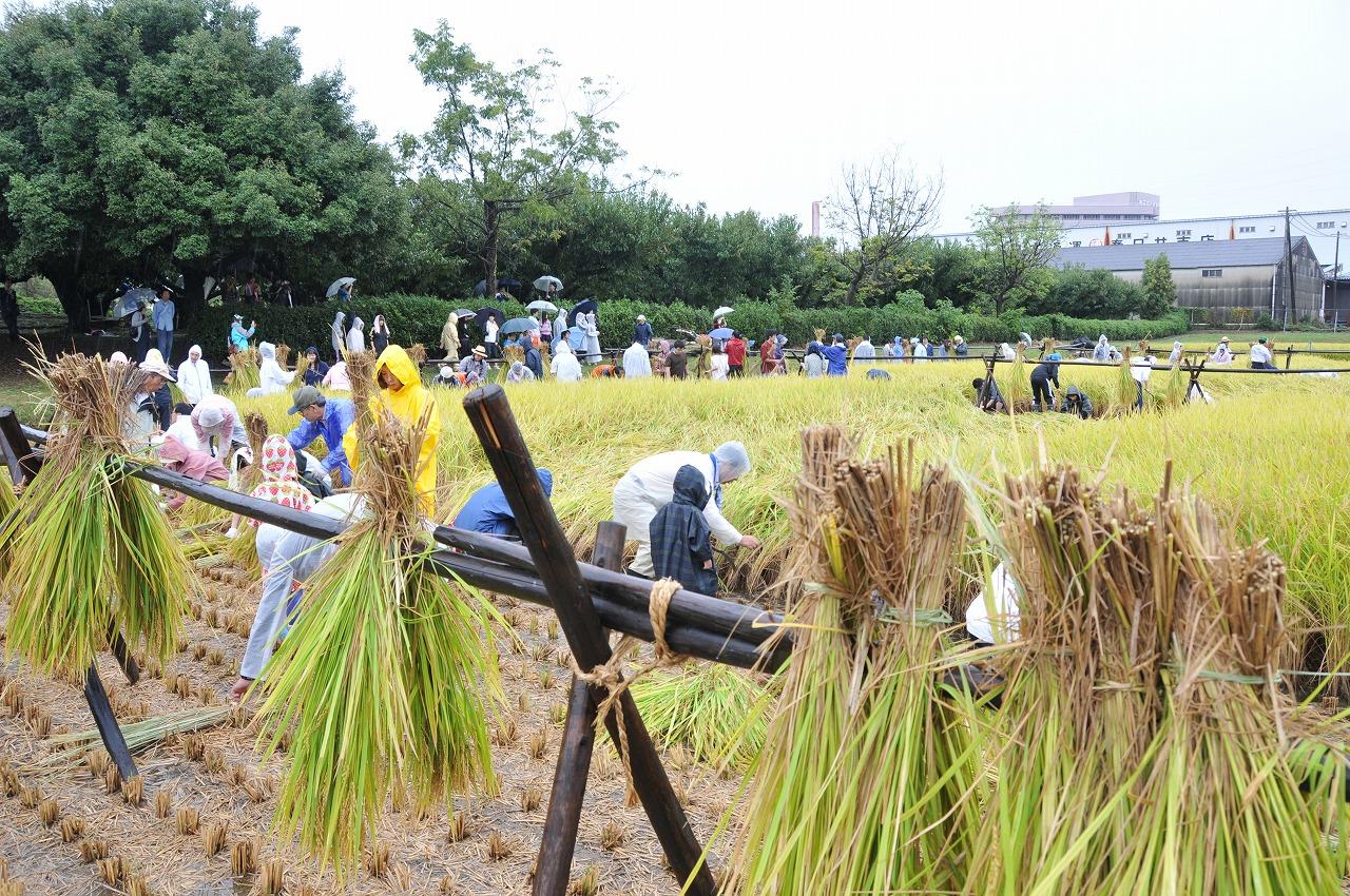 農学部附属農場で収穫祭を開催 実りの秋を実感 ニュース 名城大学