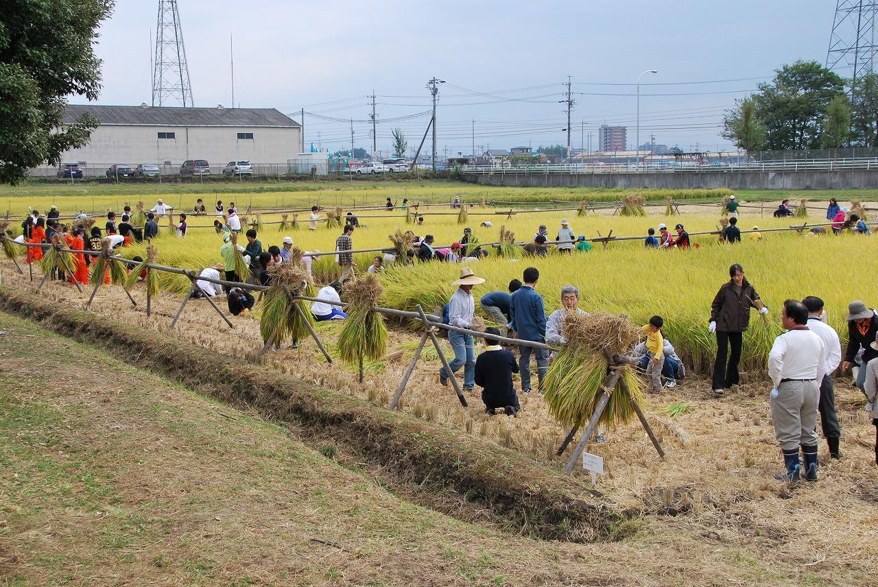 農学部主催の収穫祭を開催 ニュース 名城大学