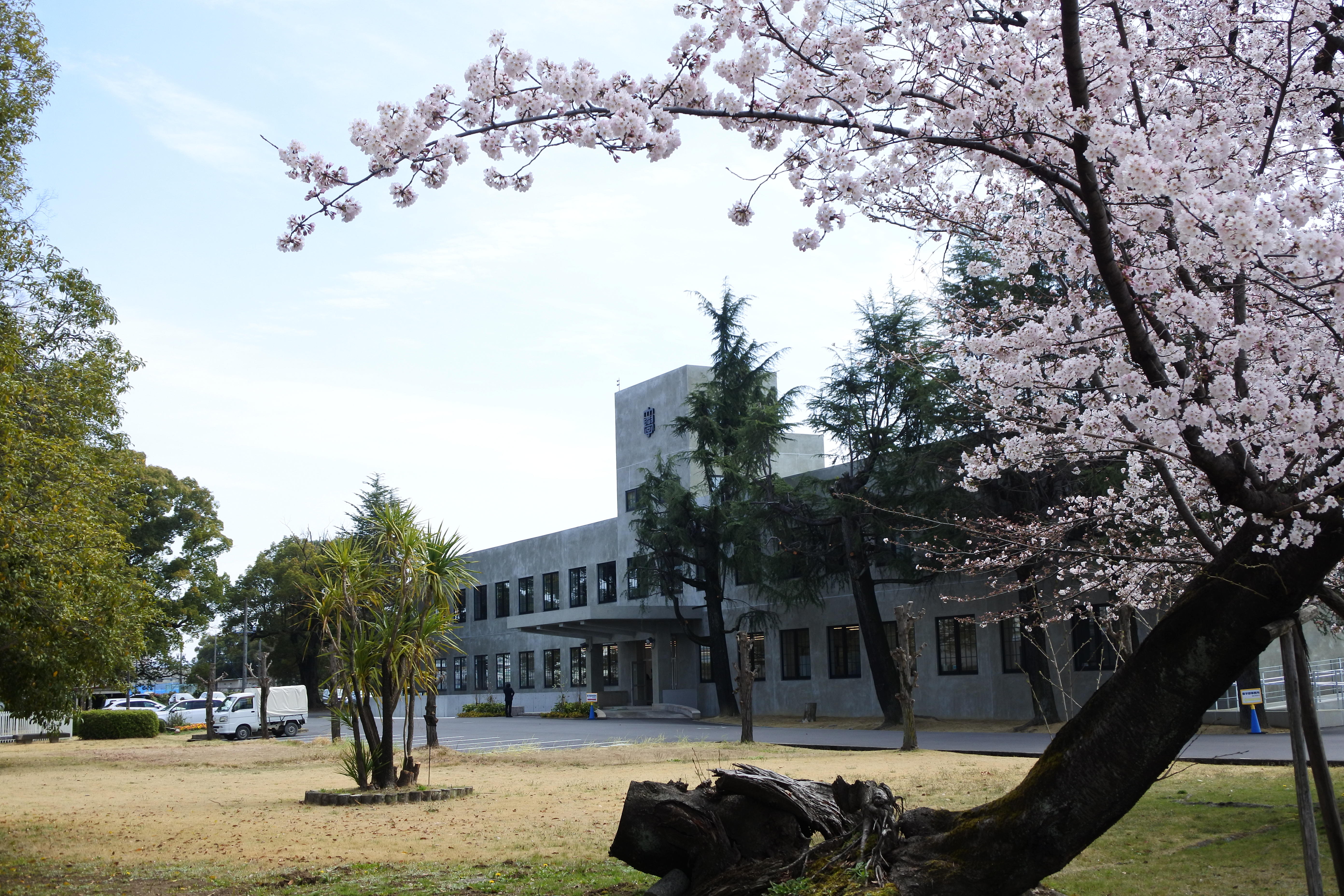 桜に彩られた本館