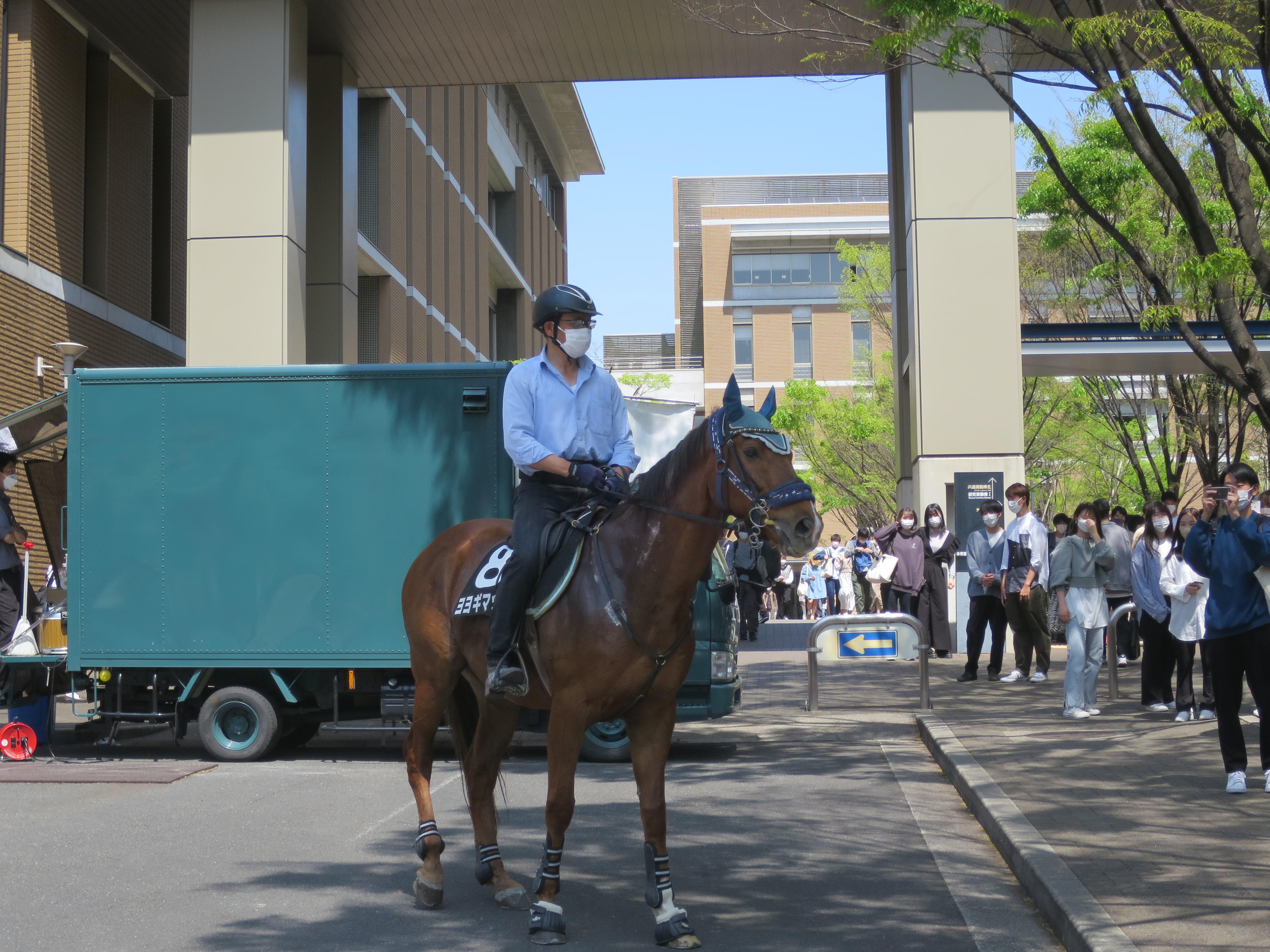 12日は馬術部の馬が天白キャンパスに登場