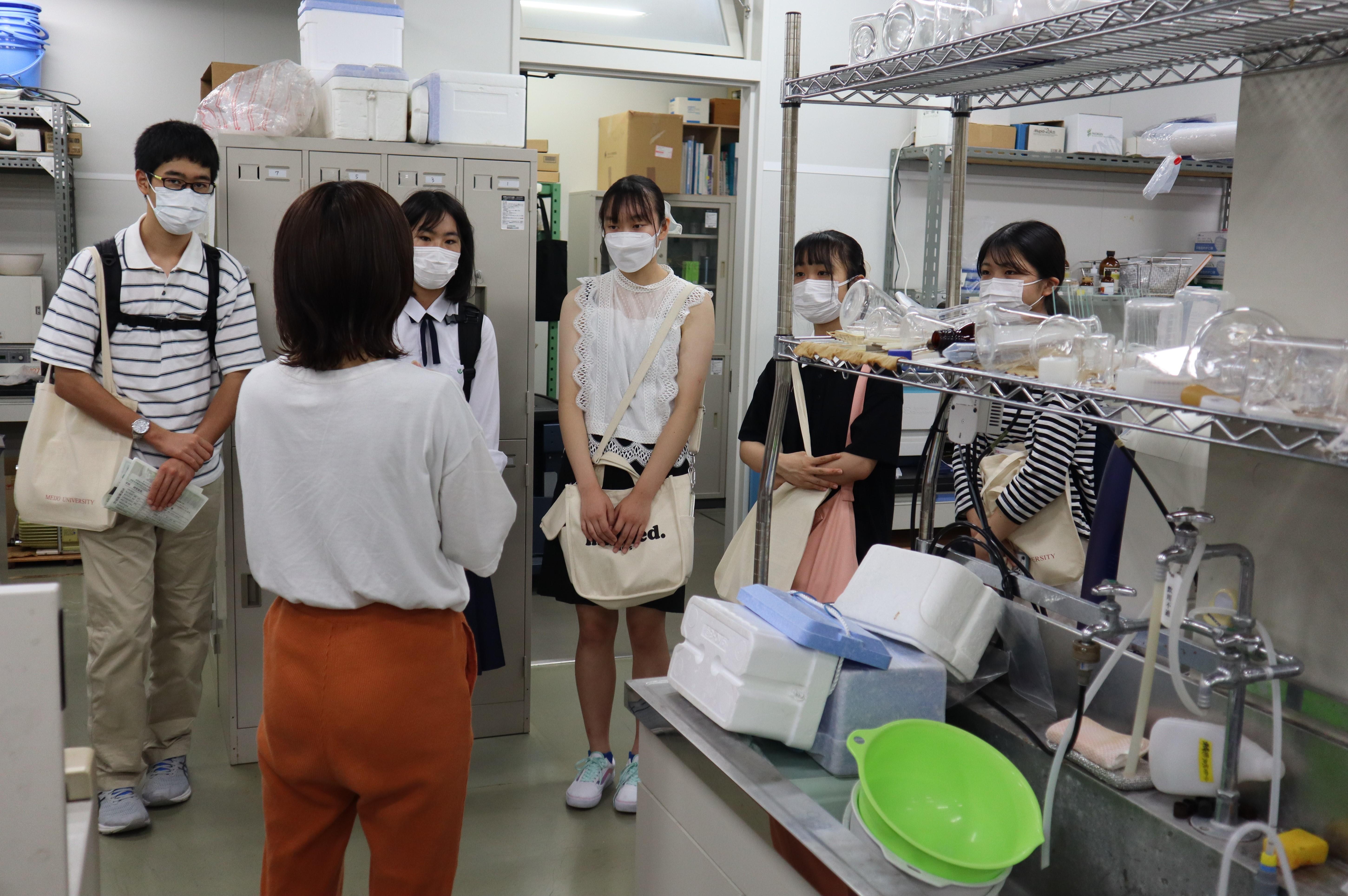 農学部応用生物化学科の研究室を見学