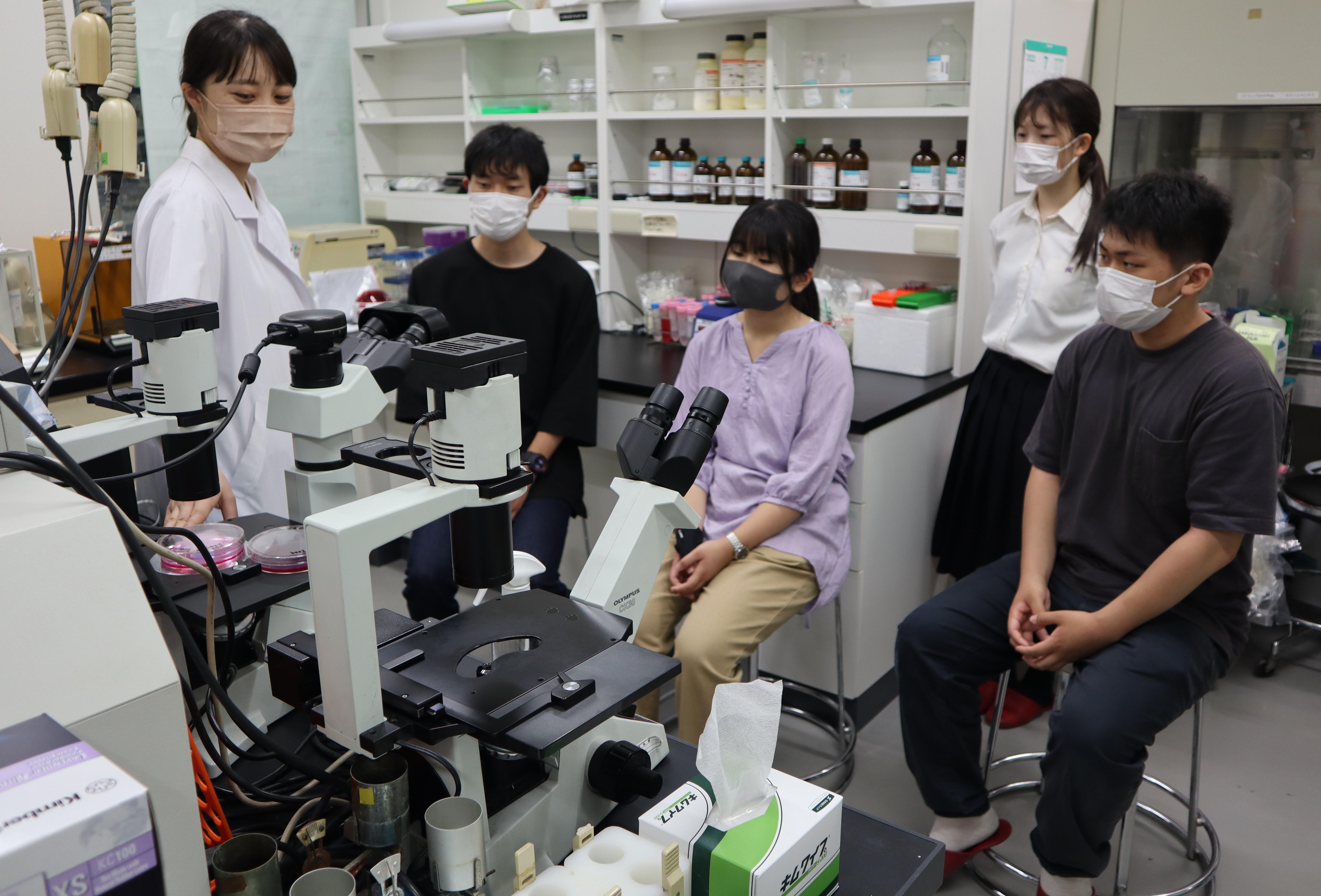 薬学部の病態生化学研究室を見学