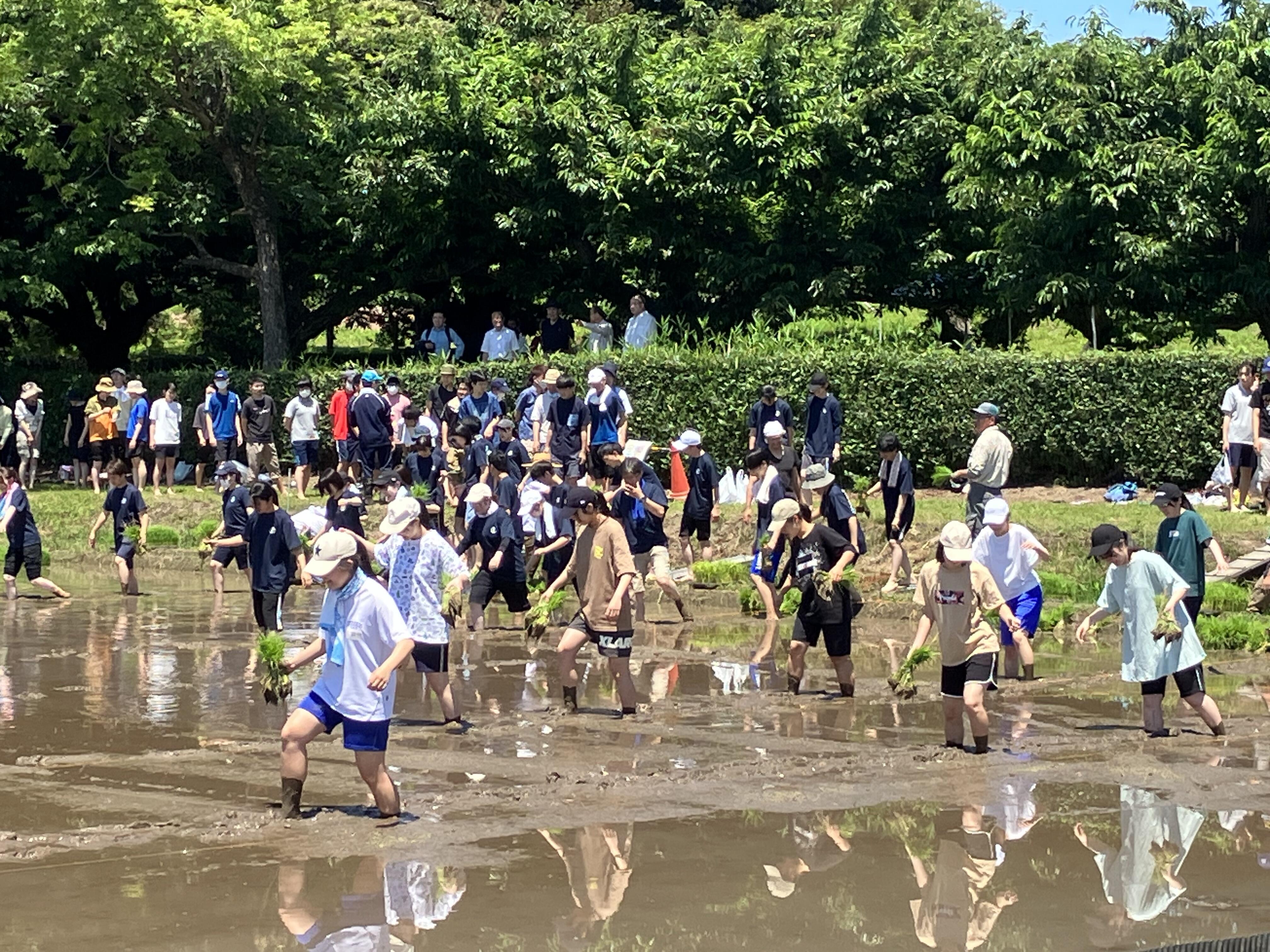 泥の中を歩くコツを教えてもらいながらゆっくり進みます