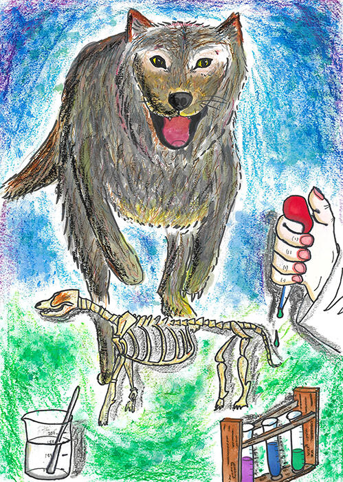 <strong>村田　啓 さん</strong><br />『よみがえろ！ニホンオオカミ』<br />かつて日本にいたとてもかかんなニホンオオカミ。このオオカミをよみがえらせたくてできたのは特別な液体。この液体をオオカミの骨にたらすと、その骨の持ち主がよみ返り、その持ち主の生きていた姿がうかび上がります。