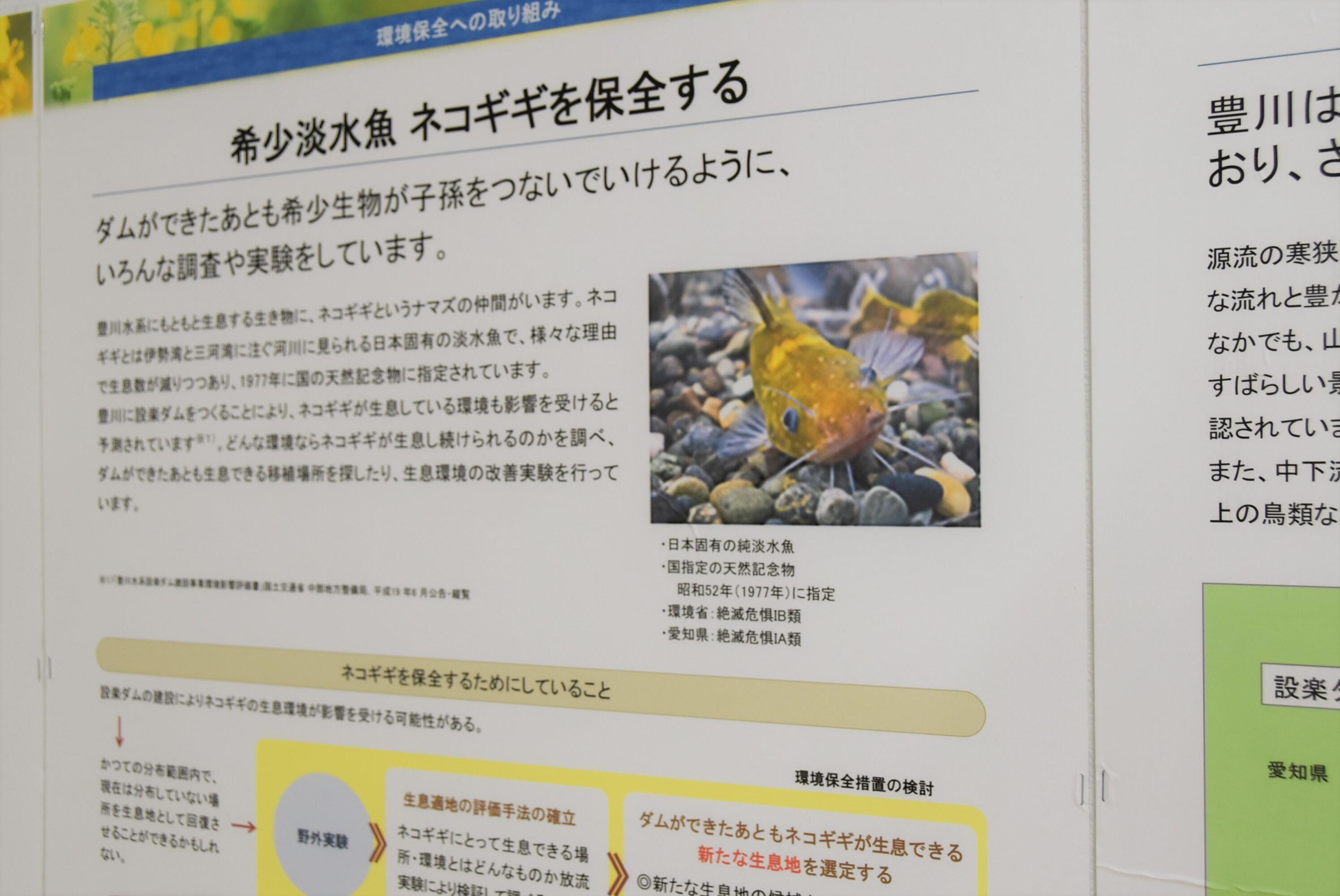 「ネコギギ」の保全活動を紹介するパネル