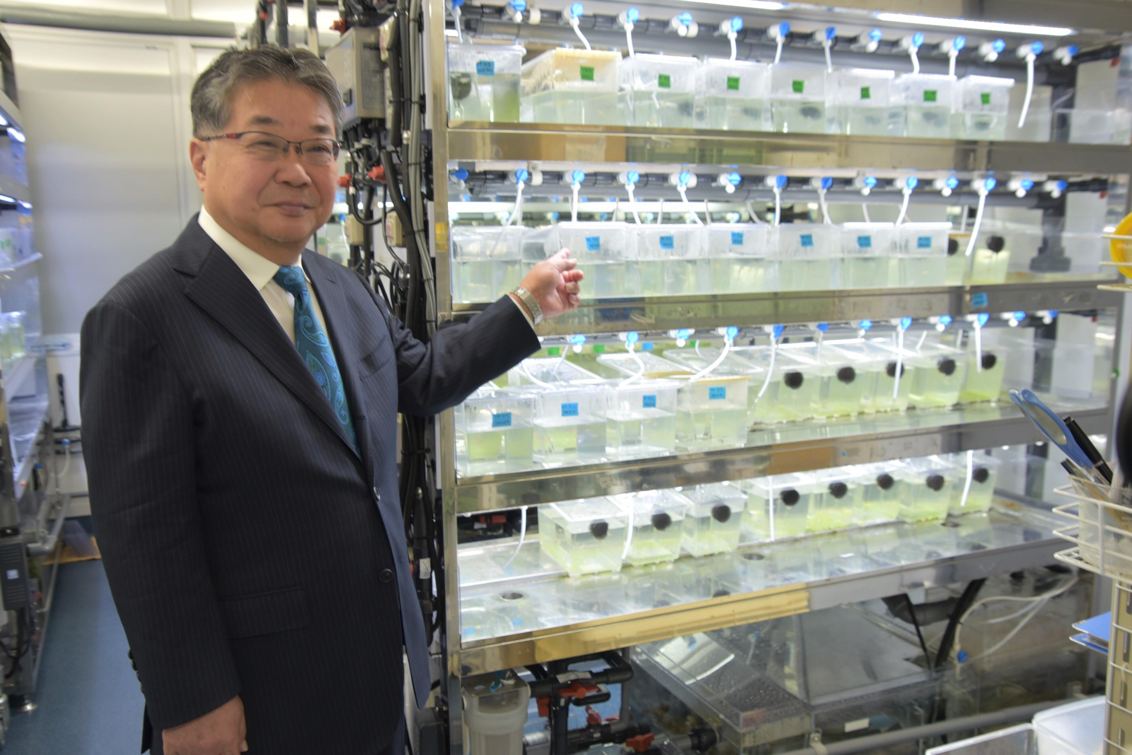 メダカの水槽と森教授