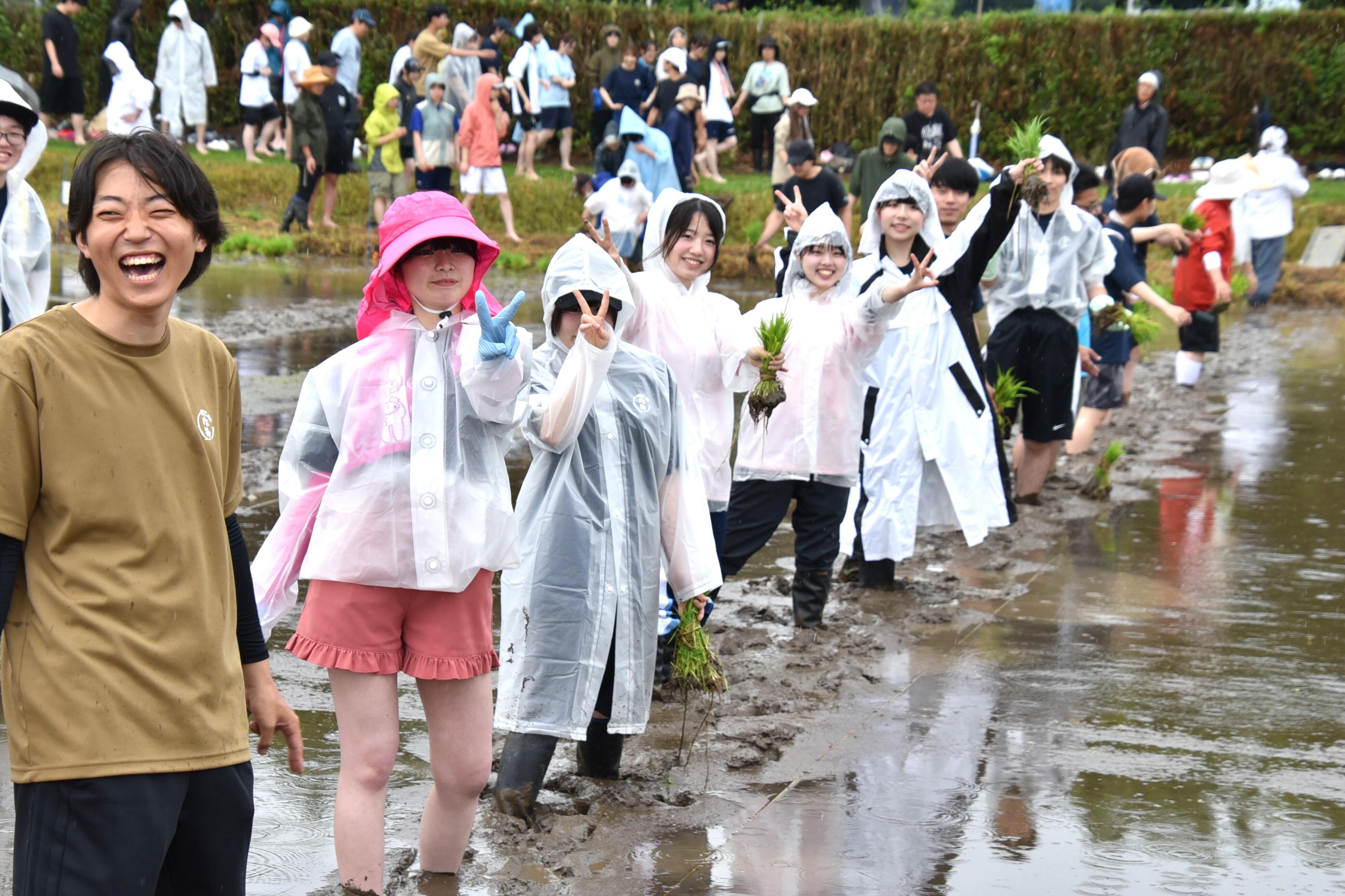 かっぱを着て水田へ