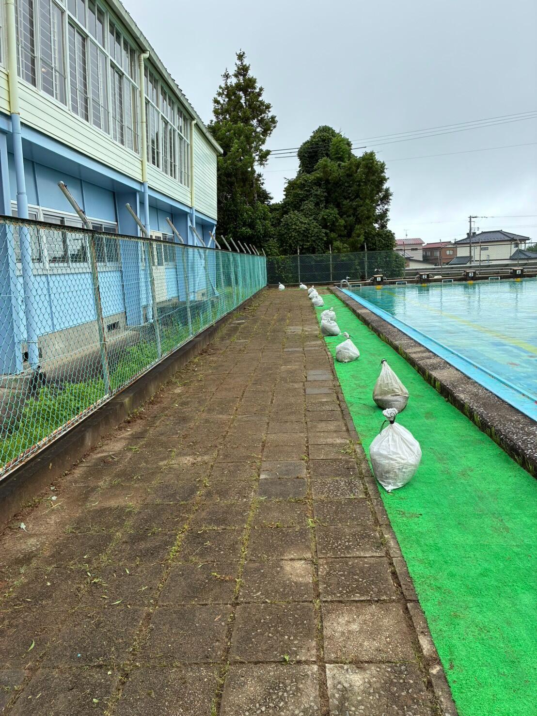 除草後のプールサイド