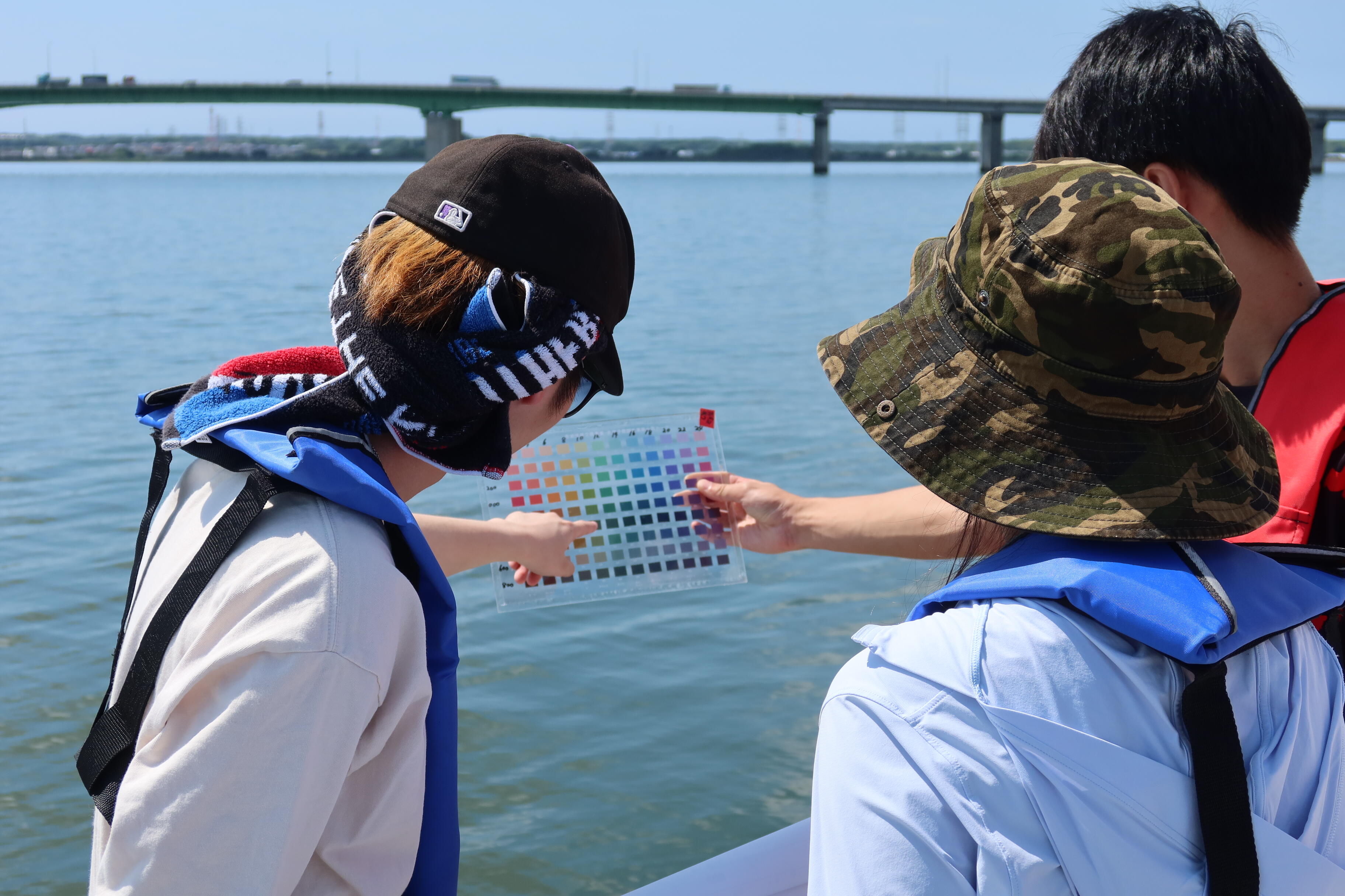 水色の調査