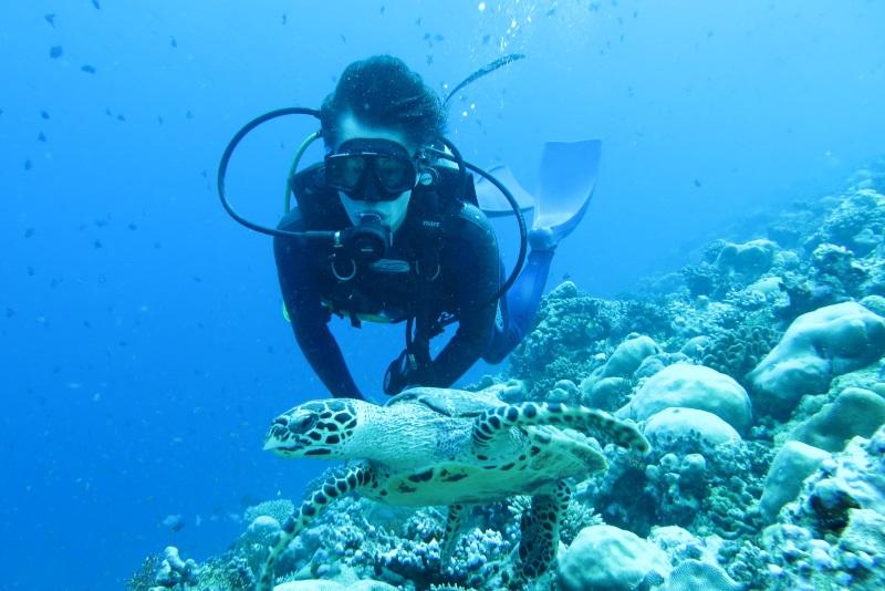 モルディブの海を潜る亀井教授＝2014年