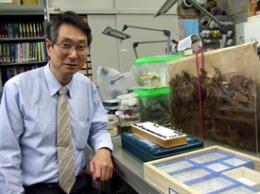 体長わずか1ミリの寄生蜂の標本が並ぶ研究室で語る山岸教授